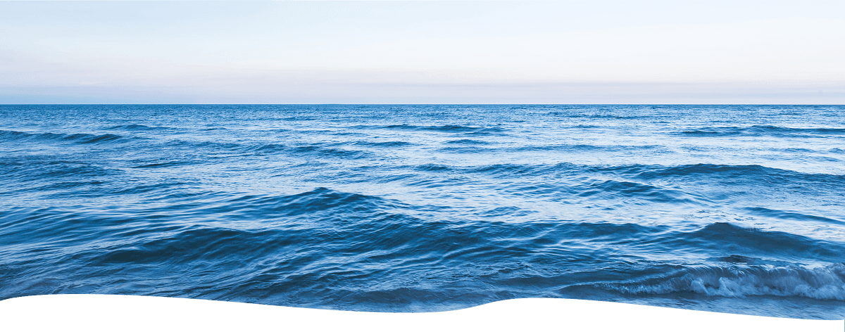 Privacy Policy Background